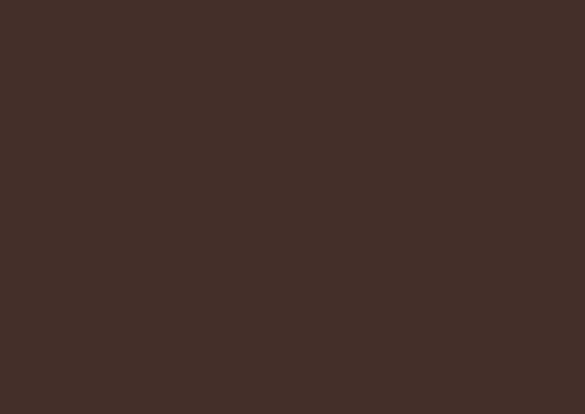 Brun chocolat RAL 8017